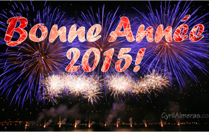 Meilleurs voeux et bonne année 2015